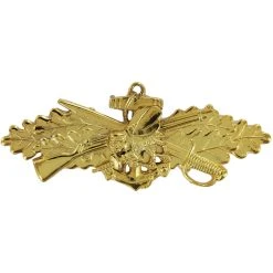 Outlet ✔️ Vanguard NAVY BADGE SEABEE COMBAT WARFARE SPECIALIST OFFICER 🧨