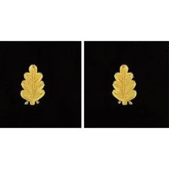 Brand new 😀 Vanguard Navy Sleeve Device Dental Corps Synthetic Gold On Black Serge 👍